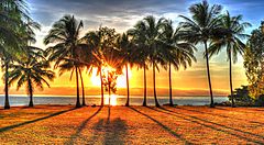 Tramonto tra le palme in una spiaggia australiana.