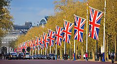 Strada a Londra fiancheggiata da bandiere britanniche e alberi in autunno.