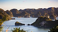 Baia di Ha Long in Vietnam con isolotti e mare al tramonto.