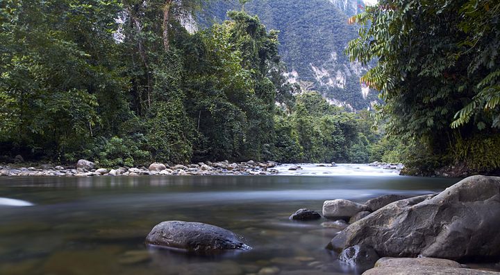 Fiume nel Parco Nazionale di Gunung Mulu circondato da foresta lussureggiante.