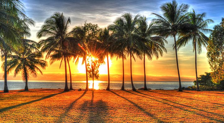 Tramonto tra le palme in una spiaggia australiana.