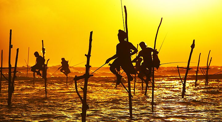 Pescatori su trampoli in mare al tramonto in Sri Lanka.