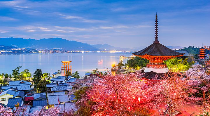 Panorama con pagoda tradizionale e fiori di ciliegio in Giappone.