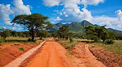 Strada sterrata e alberi con montagne sullo sfondo in Kenya.
