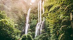 Cascate immerse nella giungla di Bali, avvolte da una lussureggiante vegetazione verde.