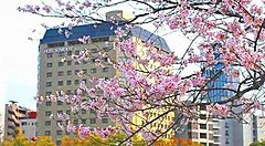 Il Sunroute Hotel di Hiroshima.