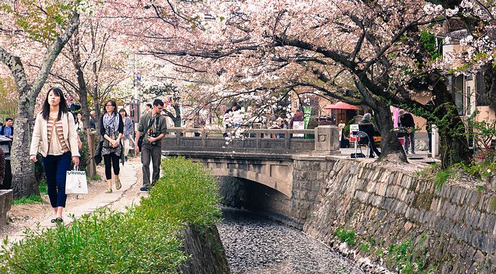 Persone camminano a Kyoto, lungo la passeggiata del filosofo in primavera.