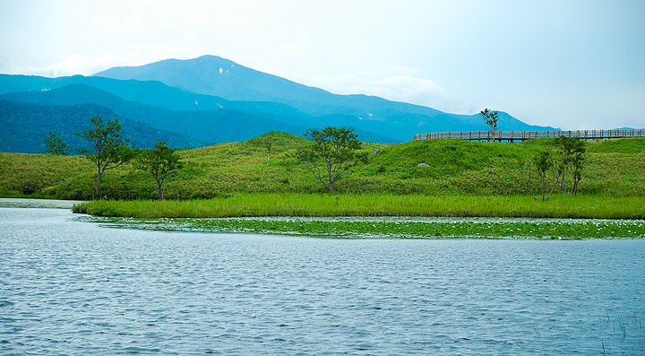 La natura incontaminata di Shiretoko.