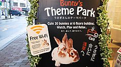 Insegna pubblicitaria dell'usagi cafe "With Bunny".