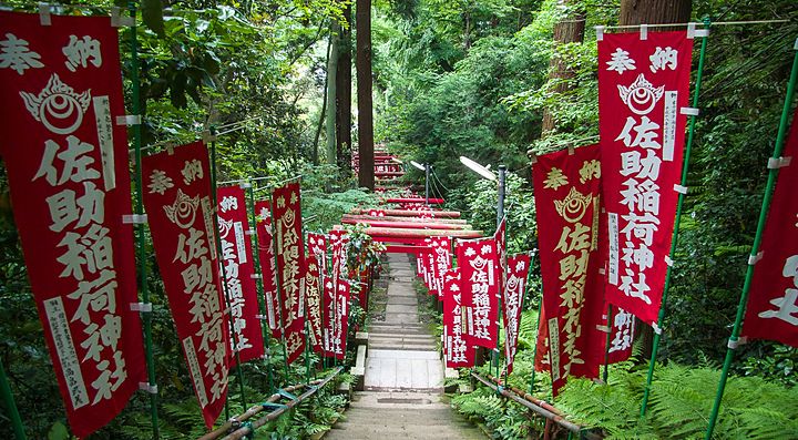 Le scale che portano al Sasuke Inari di Kamakura.