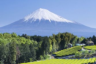 Monte Fuji