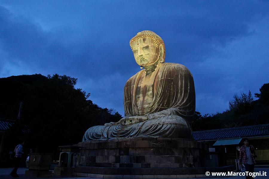 grande Buddha di Kamakura