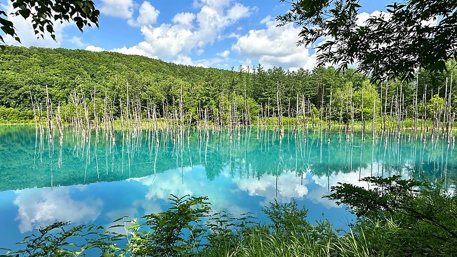 Veduta del Blue Pond a Biei con alberi spogli che si riflettono nell'acqua blu intenso sotto un cielo azzurro.