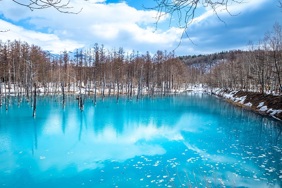 Veduta panoramica del Blue Pond a Biei, Hokkaido, con acque blu turchese, tronchi spogli e colline innevate sul fondo.