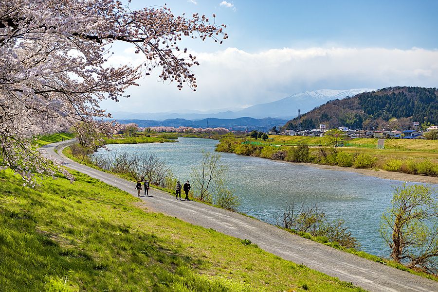 Sentiero sterrato lungo il fiume Shiroishi con ciliegi in fiore, colline e montagne sullo sfondo in Giappone.