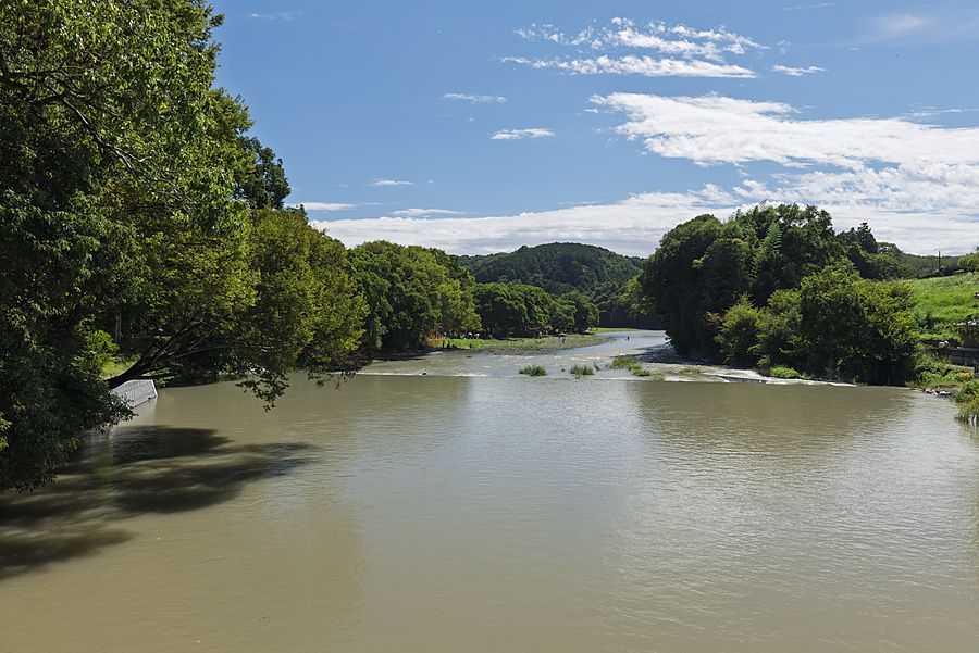 Veduta del fiume Koma che scorre tra alberi rigogliosi nel Kinchakuda Manjushage Park a Hidaka, Giappone.