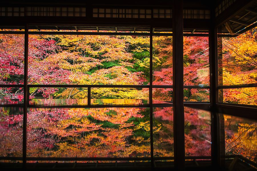 Colorato foliage autunnale di aceri visto attraverso una finestra al tempio Rurikoin a Kyoto con riflesso sul tavolo.