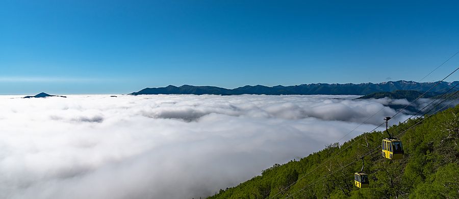 Funivia gialla che sale su un monte verde sopra un mare di nuvole in una giornata soleggiata in Giappone.