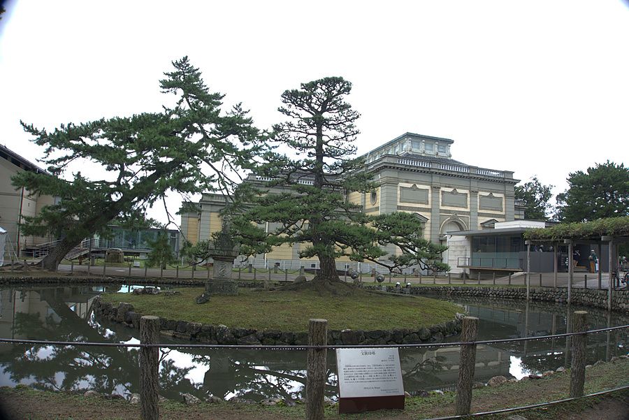 Giardino del Nara National Museum con isolotto centrale, laghetto e pino secolare davanti alla facciata dell'edificio.