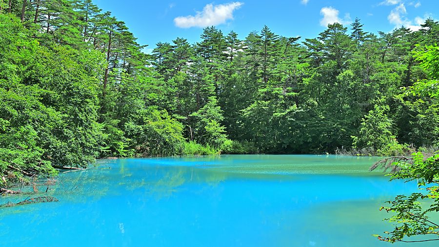 Veduta del laghetto Aonuma con acqua azzurro brillante circondato da una lussureggiante foresta in Giappone.