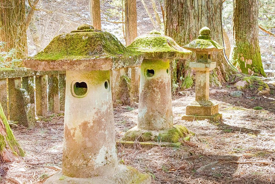 Antiche lanterne in pietra coperte di muschio situate nel bosco del santuario Takinoo a Nikko.