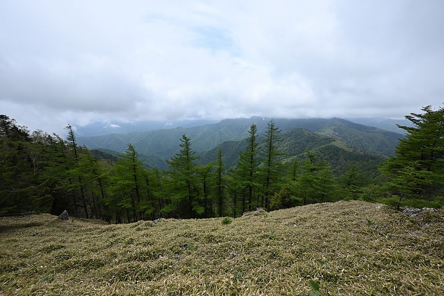 Veduta panoramica delle cime montuose del monte Kumotori in Giappone con foresta di conifere e cielo nuvoloso.