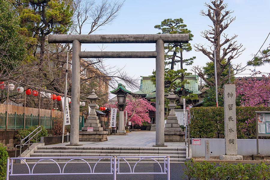 Portale torii in pietra all'ingresso del santuario Sakura Jingu di Tokyo circondato da alberi di ciliegio in fiore.