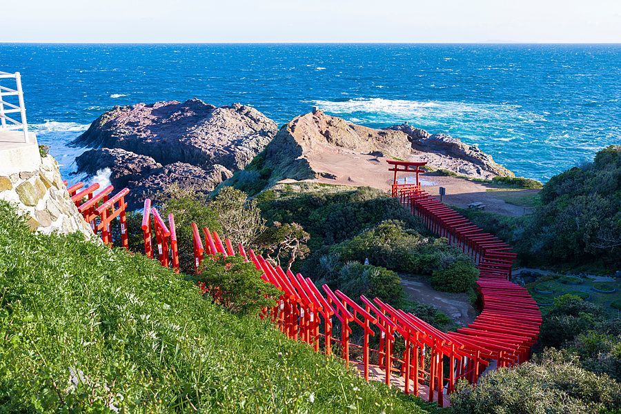Una fila di portali torii rossi scende lungo un pendio verdeggiante verso il mare con scogliere rocciose.