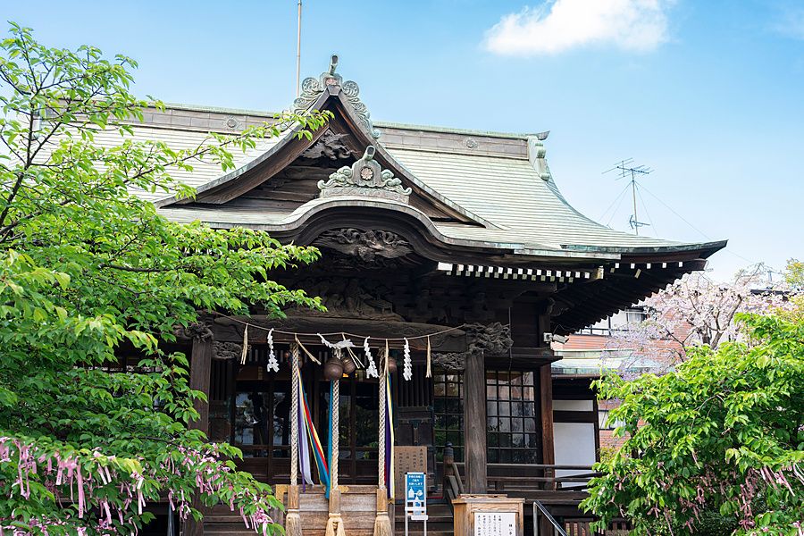 Veduta frontale di un santuario in legno a Tokyo con tetto tradizionale e rami fioriti in una giornata di sole.