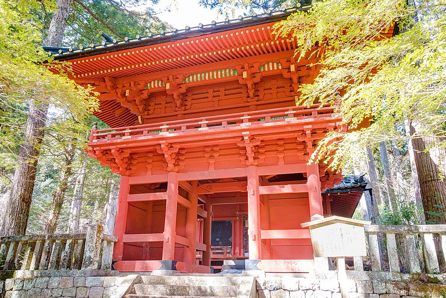Veduta dal basso del Takinoo Shrine, struttura in legno rosso con dettagli verdi, immersa in un bosco a Nikko, Giappone.