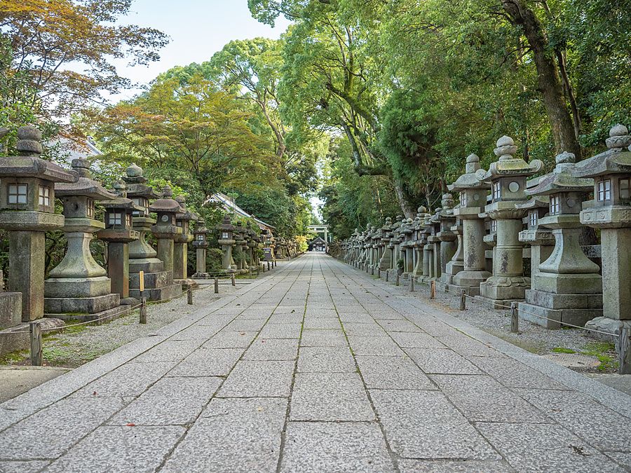 Sentiero in pietra fiancheggiato da lanterne tradizionali in pietra presso il santuario di Iwashimizu Hachimangu.