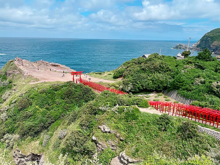 Sentiero con numerosi torii rossi che attraversa una collina verde sopra il mare in Giappone.