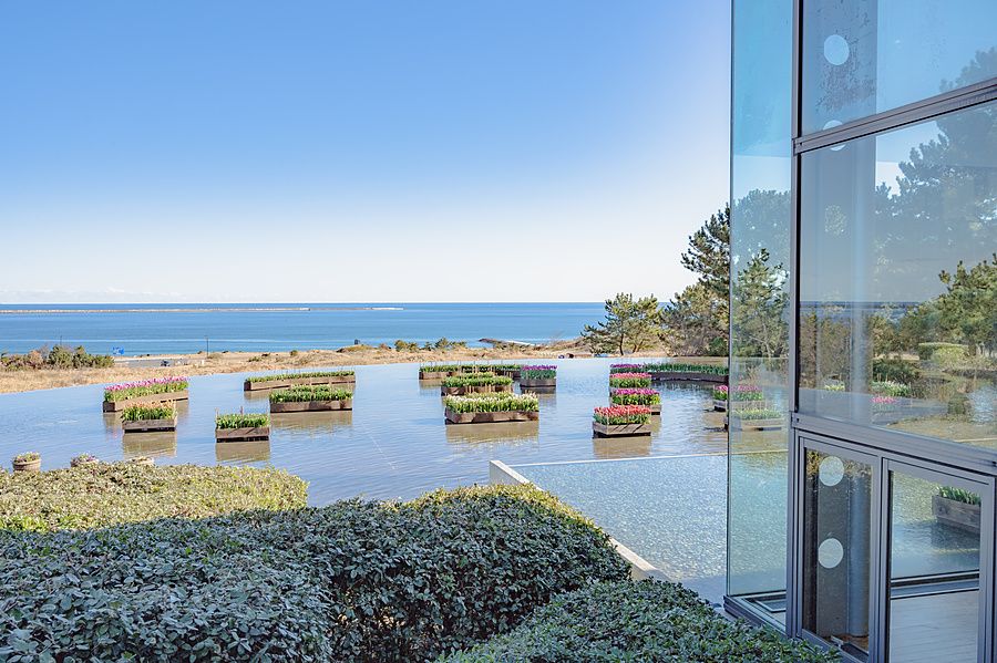 Veduta di aiuole di tulipani in una piscina d'acqua presso la Glass House dell'Hitachi Seaside Park, Giappone.