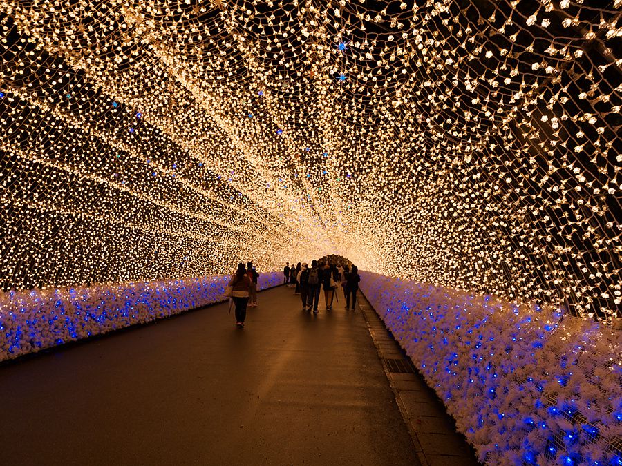 Tunnel luminoso con luci a LED dorate a forma di fiore e bordi blu al parco Nabana no Sato in Giappone.