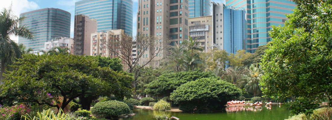 Il Kowloon Park e i vicini grattacieli.