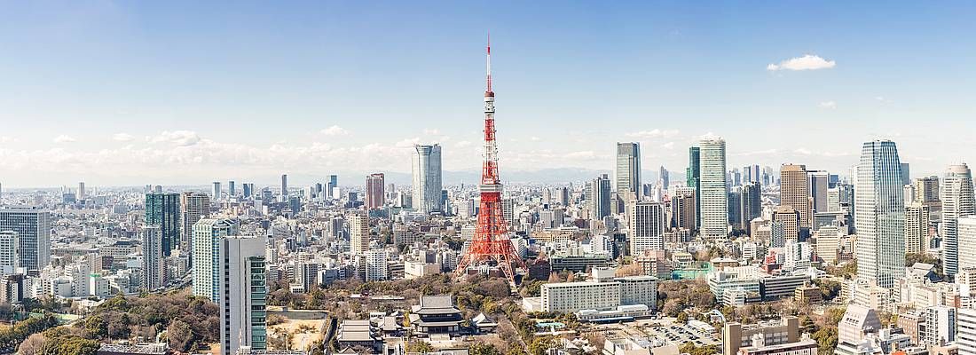 Tokyo di giorno, con in primo piano la Tokyo Tower.