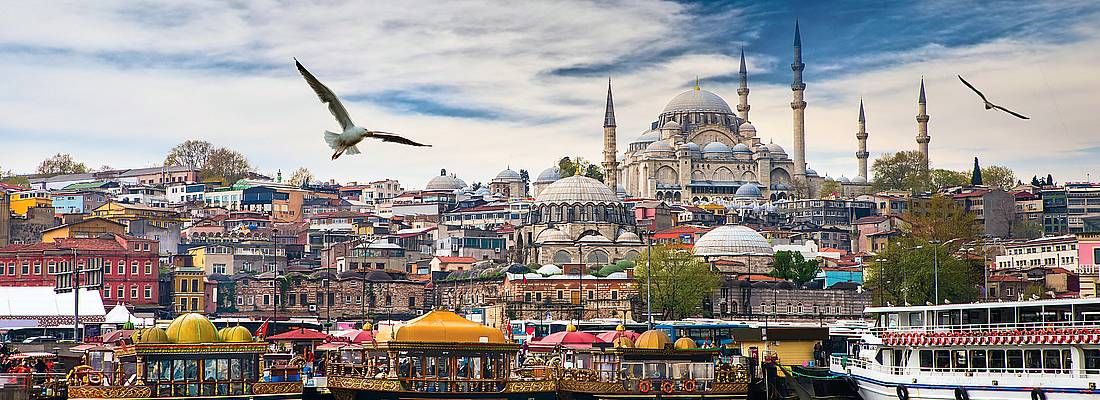 Gabbiano in volo e Skyline di Istanbul.