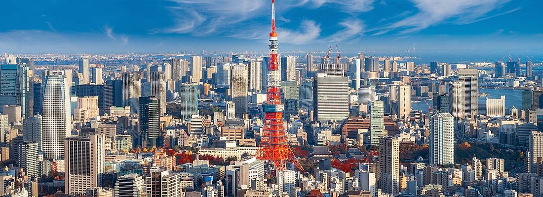 La vista di Tokyo, con in primo piano la Tokyo Tower.