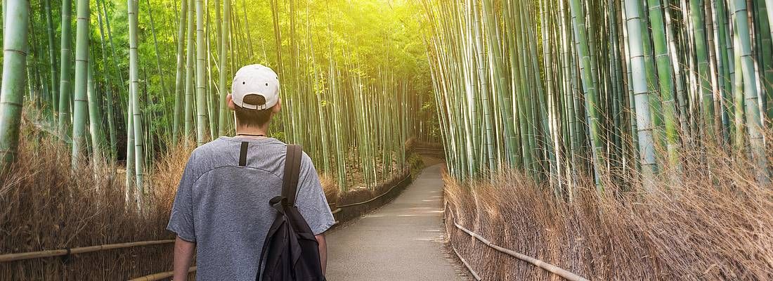 Un ragazzo si incammina nella foresta di bambù di Arashiyama.