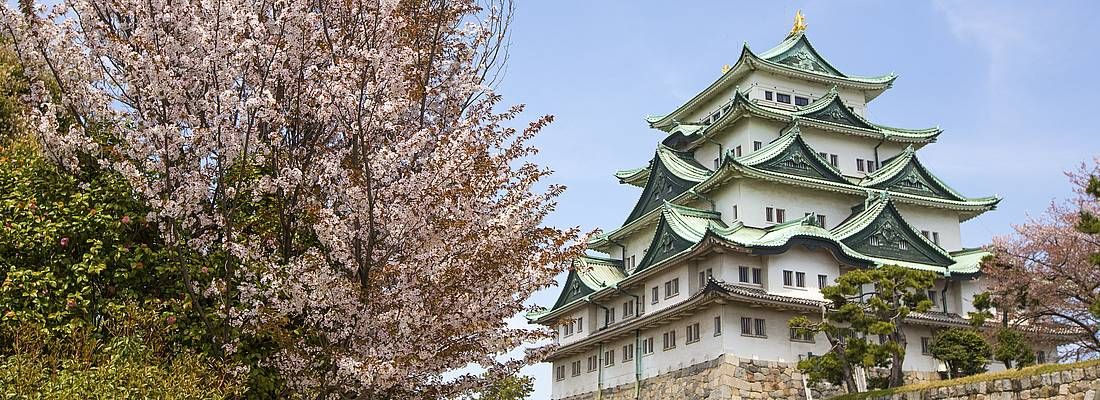 Il castello di Nagoya in primavera.