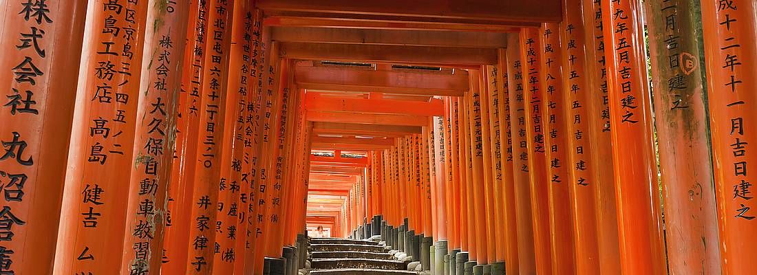 I portali rossi del Fushimi Inari di Kyoto, senza persone.