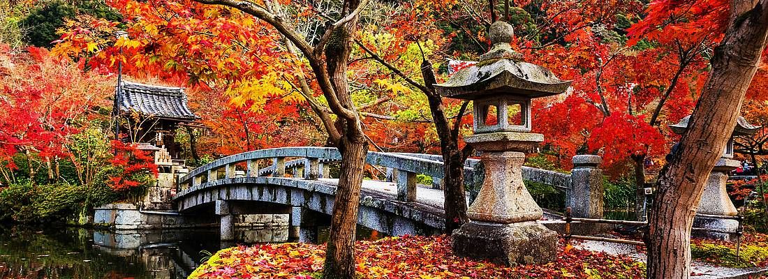 Il ponte che porta al tempio Eikando, in autunno.