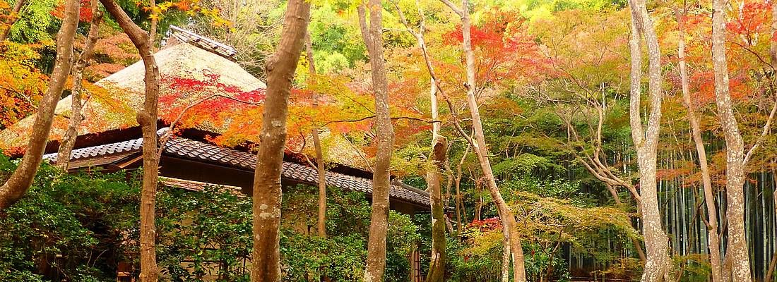 Giardino del tempio Gio-ji a Kyoto.