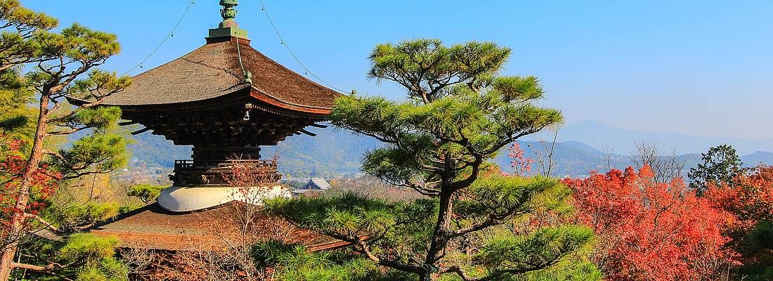 Pagoda del tempio Jojakko-ji in una splendida giornata estiva.