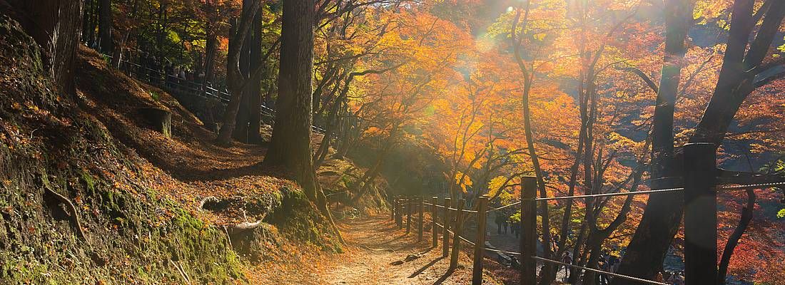 La foresta Korankei di Nagoya, in autunno.