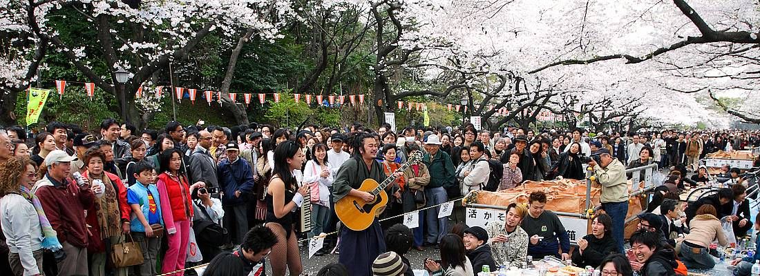 Folla di persone, alcuni camminano, altri fanno un pic nic, al Parco di Ueno in primavera.