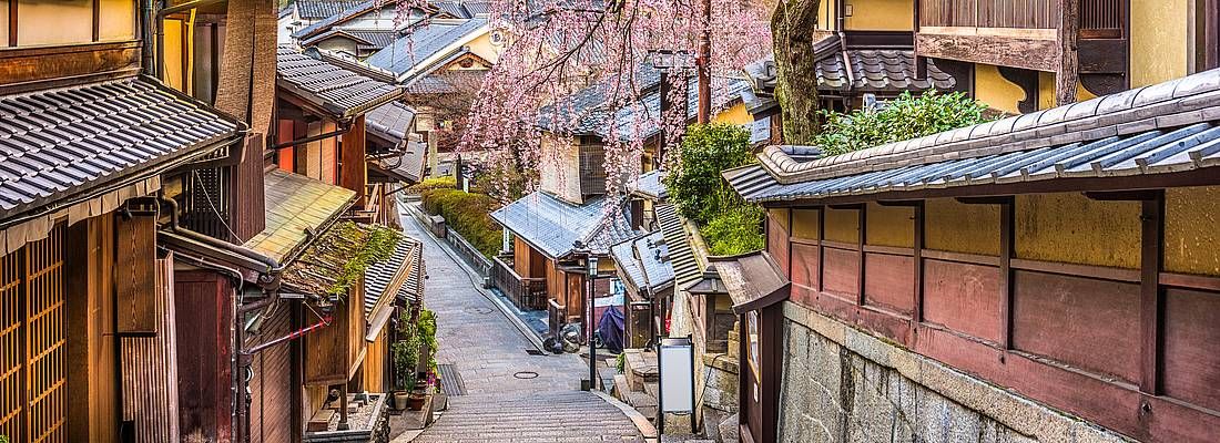 La strada Ninenzaka a Kyoto, in primavera, con un meraviglioso sakura in fiore.