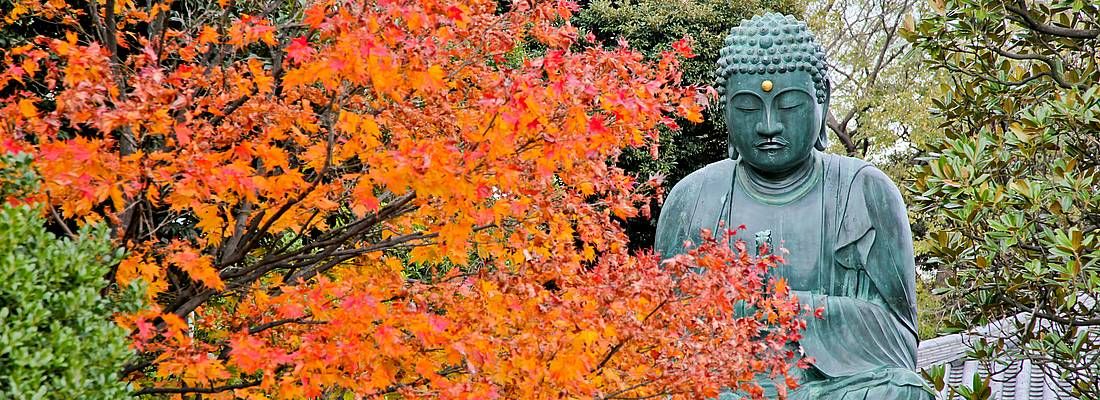 Statua di Buddha, nascosta dietro ad un albero con foglie arancioni, in autnno.