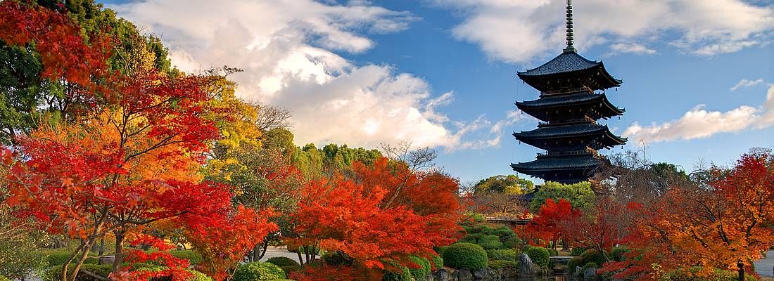 La pagoda al tempio Toji a Kyoto.