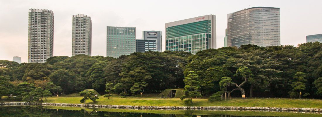 Grattacieli sbucano da dietro gli alberi ai Giardini Hamarikyu, a Shimbashi (Tokyo).